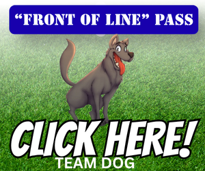 front of line pass (5)
